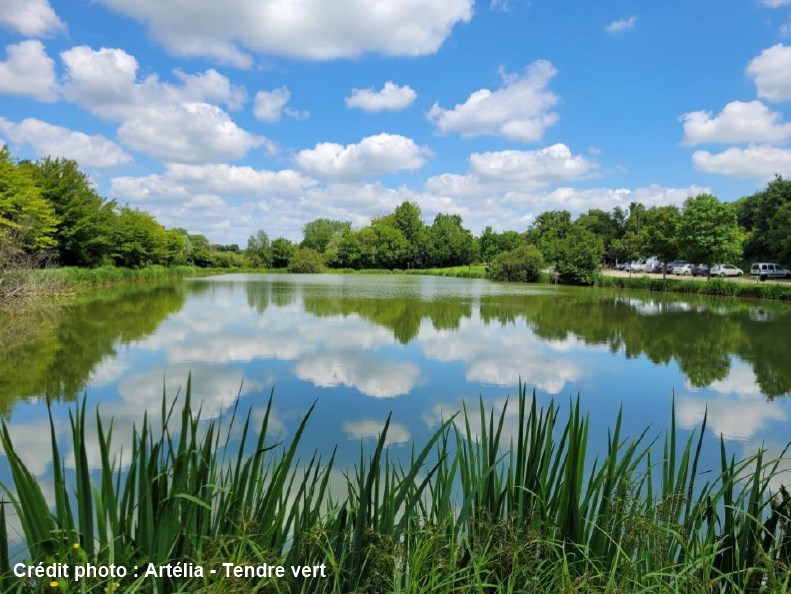 Etang de Farges Etude