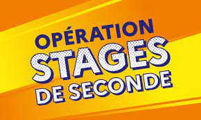 Stage seconde