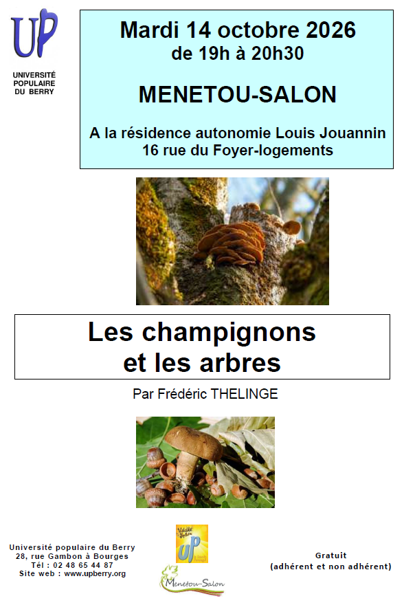 20261014_Champignons_arbres_UP