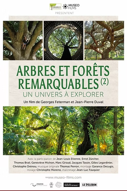 25.11.05-Arbres et forets remarquables